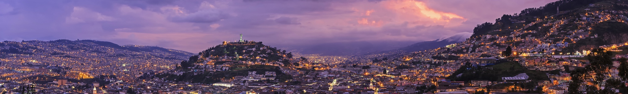 Image Title Image Alt Text