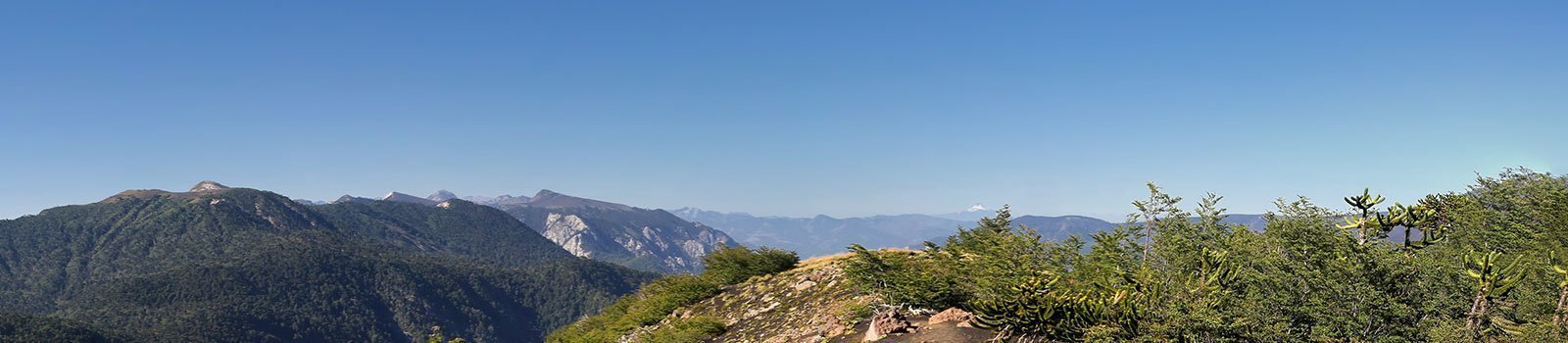 Flights to Concepcion