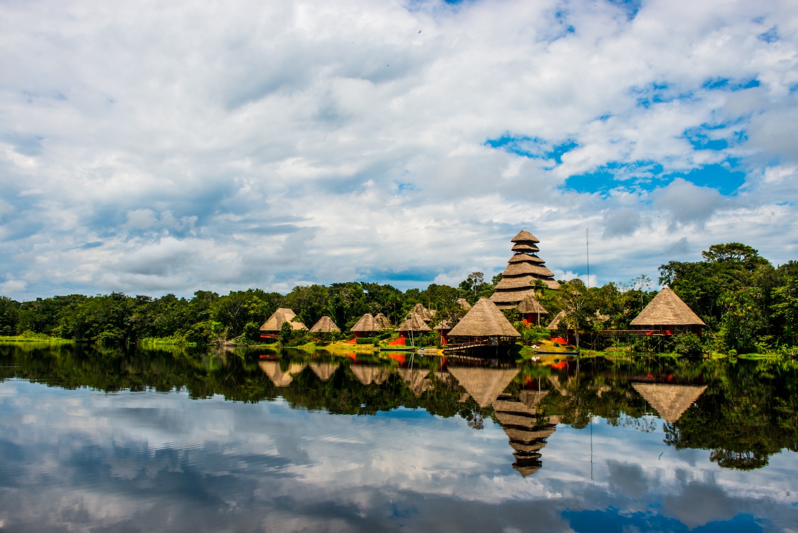 Parque Nacional Yasuní, Coca