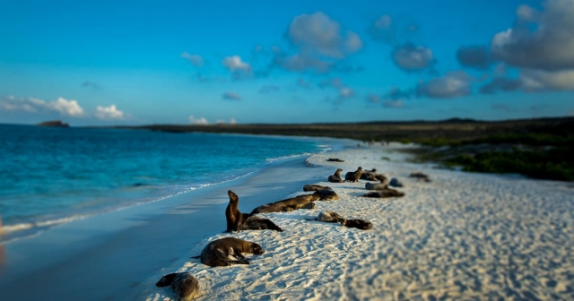 Vuelos a Baltra Islas Galápagos