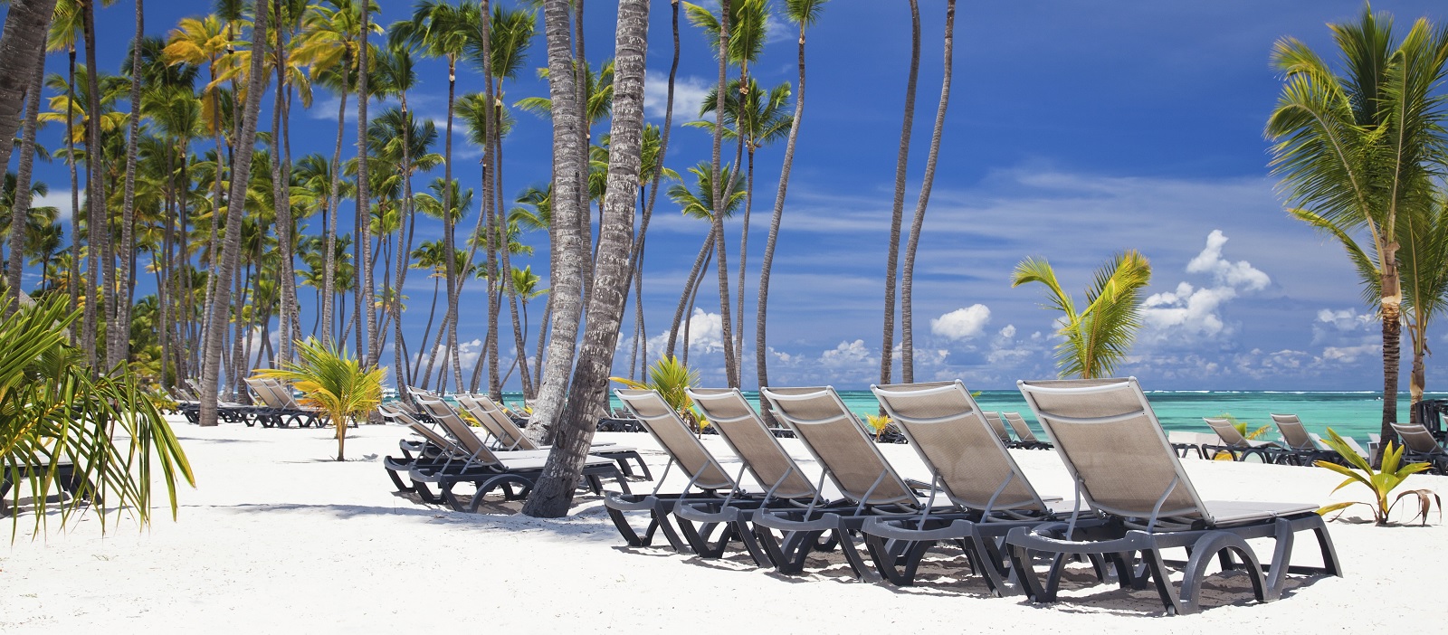 Pasajes y vuelos baratos a Punta Cana LATAM Airlines