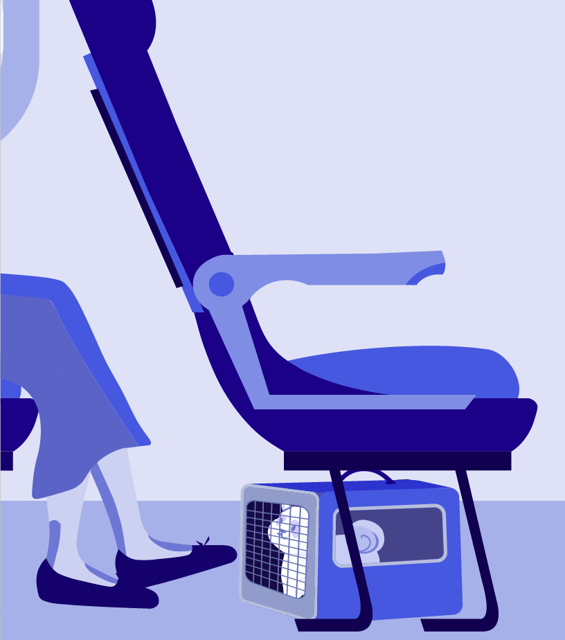 Bagagem Especial na LATAM: Instrumentos, Esporte e Pets