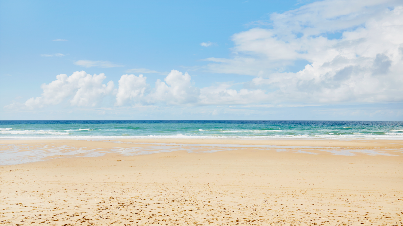 Increíbles descuentos en vuelos, paquetes, hoteles ¡y mucho más!