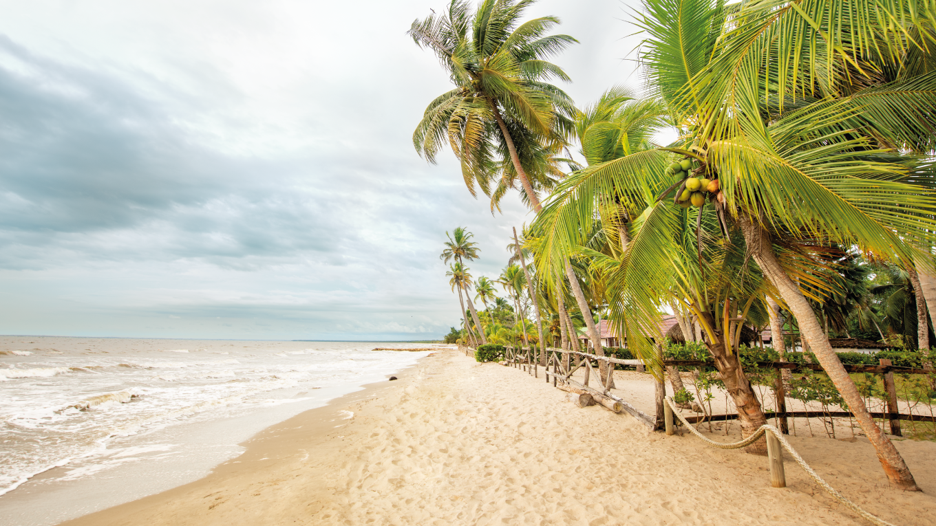 Compra pasajes aéreos, reserva alojamientos, arma paquetes turísticos y contrata asistencia en viaje en un solo lugar. Compara precios, elige la mejor opción y viaja al destino que sueñas, con total comodidad y seguridad.