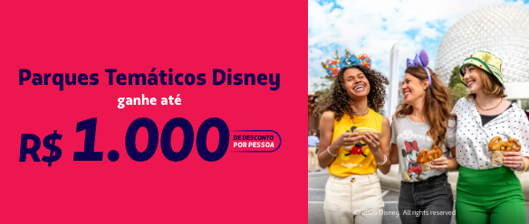 Pacote especial Disney com Desconto!