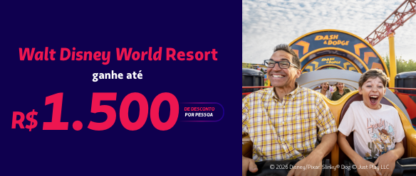 Pacote especial Disney com Desconto!