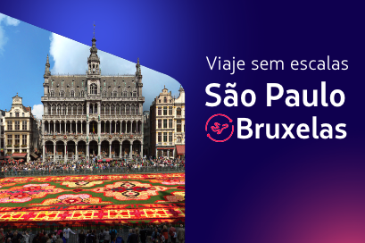 Voe para Bruxelas