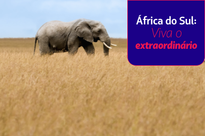 África do Sul com Desconto: Só este final de semana!