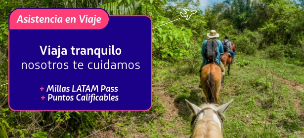 Seguros, asistencia de viaje