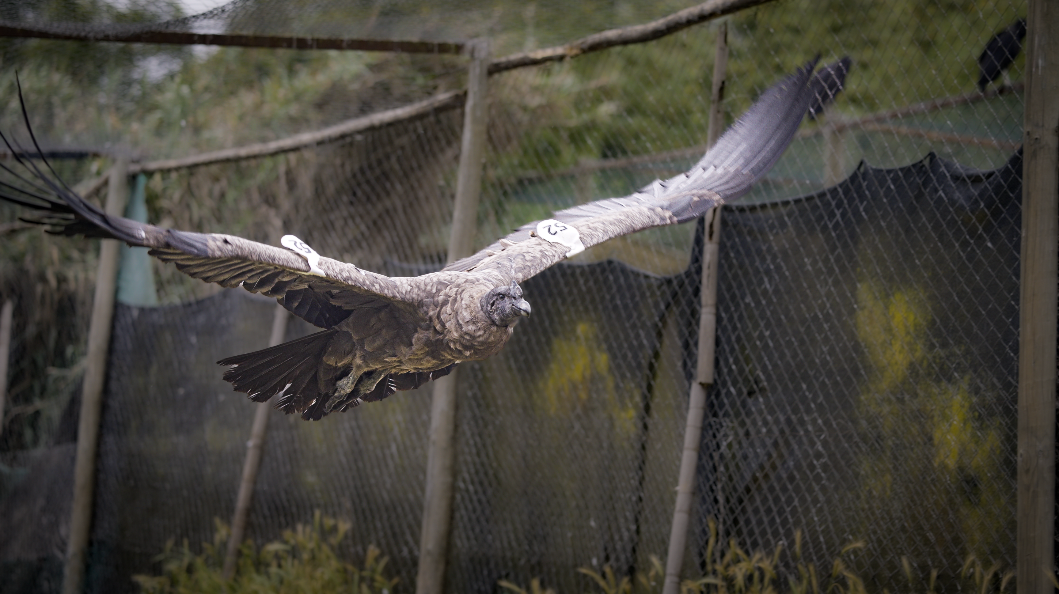 Test image Test image