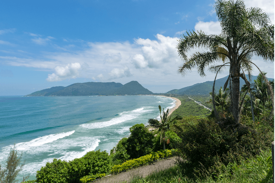 Floripa Floripa