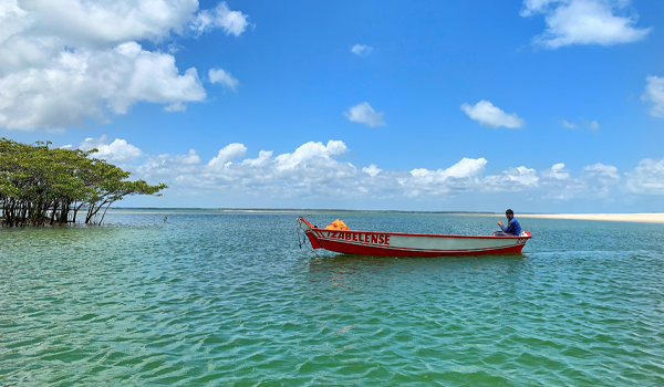 Pará and its many faces